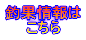 釣果情報は 　　こちら