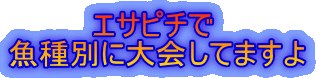 　　　　エサピチで 魚種別に大会してますよ 